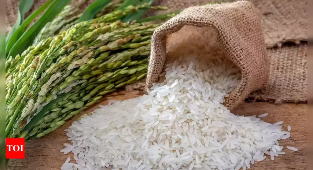 Is White Rice Healthy? What Does Research Say About It?