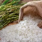 Is White Rice Healthy? What Does Research Say About It?