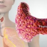 Reset Thyroid In 7 Days to Burn Fat & Activate Metabolism