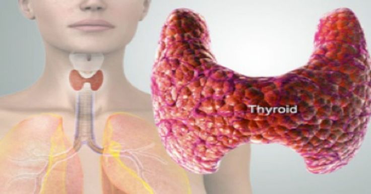 Reset Thyroid In 7 Days to Burn Fat & Activate Metabolism